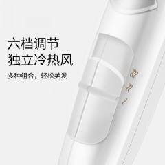 飞科 电吹飞吹风机女冷热风电次风家用理发店可折叠式不伤发