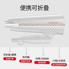飞科 电吹飞吹风机女冷热风电次风家用理发店可折叠式不伤发