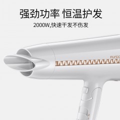 飞科 电吹飞吹风机女冷热风电次风家用理发店可折叠式不伤发