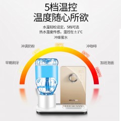 现代/Hyundai 饮水机台式速熱型桌面茶吧机 BL-25C203