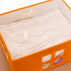 樱之花 500克防霉防蛀片剂衣柜樟脑丸有条封口驱虫去异味