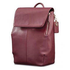 Samsonite/新秀丽 女士真皮双肩背包手提包 B078GBP54M