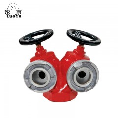 沱雨 室外室内双阀双出口消火栓双头消防栓消防S标志防腐图层 SNSS65