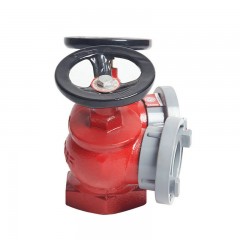 沱雨 室外室内双阀双出口消火栓双头消防栓消防S标志防腐图层 SNSS65