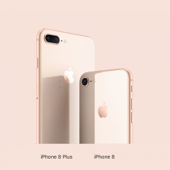 苹果/Apple iPhone 8 全网通4G手机 苹果8国行