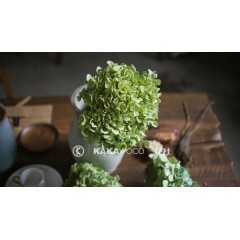 国产 花社北欧家居软装饰品 艺术插花 自然非染色进口绣球干花