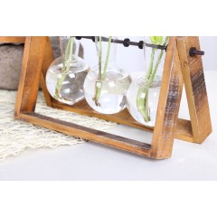 国产 铜钱草水培容器创意个性绿萝玻璃花瓶客厅透明桌面植物摆件装饰品