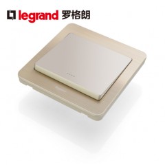 罗格朗 开关插座面板细金纹单开单控荧光面板 一开单控荧光开关