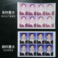 天威 原装兼容爱普生r330照片打印机六色颜料墨水爱普生彩色喷墨打印机连供6色墨水l805 L1800 L850墨水