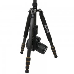 卓美 碳纤维三脚架单反相机佳能700d索尼尼康d5300三角架支架 d7100