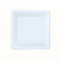 舒润 一次性可降解方形餐碟260*260mm（大号）