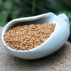 明芽 苦荞茶 黑苦荞茶 荞麦茶 苦芥 四川凉山 黄苦荞 全株茶