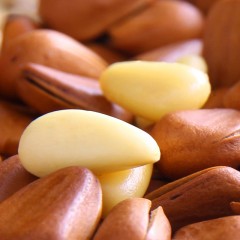 百草味 东北松子100g坚果干果炒货手剥开口松子年货休闲零食小吃