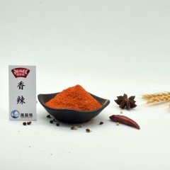 极美滋 香辣风味复合调味料 高辣味烤肉炸鸡料烧烤粉料 70克