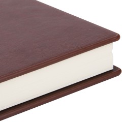 得力 文具皮面复古商务笔记本记事本创意办公本子日记本25K厚3186