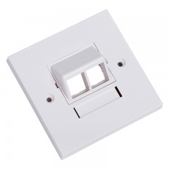 Panduit/泛达 86型网线面板双口电脑插座网线插座模块网口网络面板