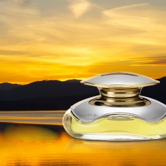 和流香 汽车香水 车载座式香水除异味 车内香水家居办公室香水座