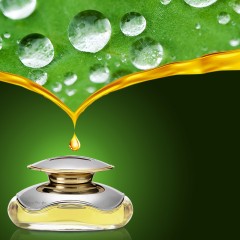 和流香 汽车香水 车载座式香水除异味 车内香水家居办公室香水座