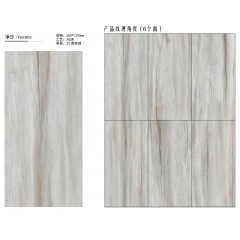 诺贝尔 瓷砖背景墙木化石静沙 600*1200 XY618003