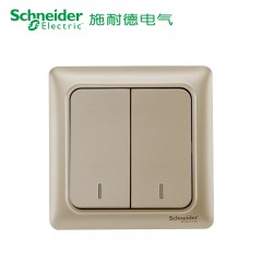施耐德 面板开关 二开二位双联双控 墙壁电源开关插座面板 睿意金