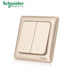 施耐德 面板开关 二开二位双联双控 墙壁电源开关插座面板 睿意金