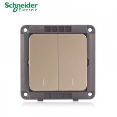 施耐德 面板开关 二开二位双联双控 墙壁电源开关插座面板 睿意金