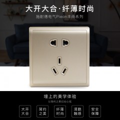 施耐德 开关 二三插 五孔插座墙壁电源 开关插座面板10A丰尚香槟金