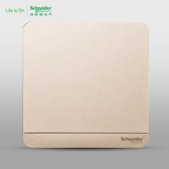 施耐德  一位单开单联单控 开关面板16A 绎尚金