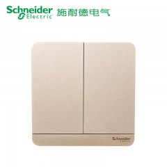施耐德 二位二开双联双控 电源开关面板16A 绎尚金