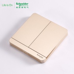 施耐德 二位二开双联双控 电源开关面板16A 绎尚金