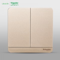 施耐德 二位二开双联双控 电源开关面板16A 绎尚金