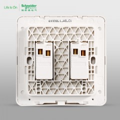 施耐德 二位二开双联双控 电源开关面板16A 绎尚金