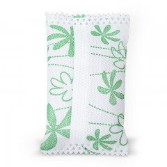 绿之源 除醛宝活性炭 炭包碳包净化除味新房装修除甲醛二手烟100