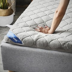 国产 冬季牛奶绒床垫1.8m床2米褥子垫被双人加厚