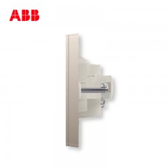 ABB 开关插座轩致无框朝霞金色二位电视/6类电脑网络插座AF334-PG