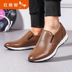红蜻蜓 新款青年潮流运动休闲鞋一脚蹬 套脚皮鞋男