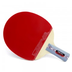 红双喜 狂飙乒乓球拍 双面反胶直拍 狂飙1 狂飙2(礼盒装)