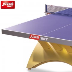 DHS/红双喜金彩虹乒乓球台国际大型比赛室内乒乓球台LED灯