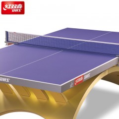 DHS/红双喜金彩虹乒乓球台国际大型比赛室内乒乓球台LED灯