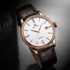 天王表  男表防水自动机械表皮带男士手表潮流休闲腕表GS5885