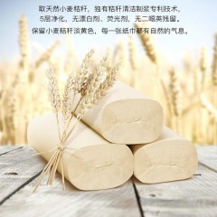 泉林本色  卷纸卫生纸93节*12卷本色不漂白家用实惠装面巾纸厕纸