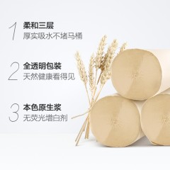 泉林本色  纸品卷纸健康本色环保实芯卫生纸160节*10卷