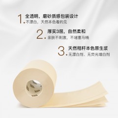 泉林本色  卷纸无香家用卫生间空芯卷筒纸3层120克10卷草浆本色纸巾