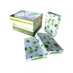 绿叶(GreenLeaf)A4/80G特级复印纸*10包 白色