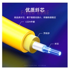 ☆山泽 SAMZHE G1-LCLC03 电信级LC-LC单模双芯 3米