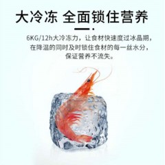 美菱 MELING BCD-301WPBX 301升 变频 电脑控温 冰箱 碧玺金