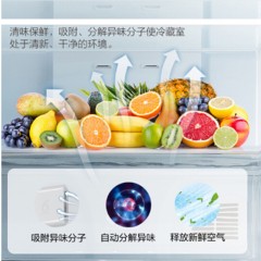 惠而浦 WHIRLPOOL 291升双门冰箱第六感保鲜风冷无霜大冷冻双温区玫瑰金 BCD-291WLZW