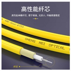 ☆胜为 SHENGWEI FSC-502 电信级光纤跳线 优质进口插芯 SC-FC单模单芯 收发器尾纤 10米