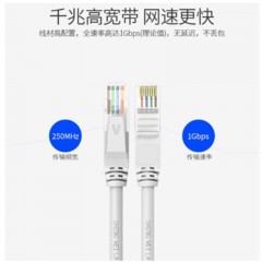 ☆胜为 SHENGWEI LC-6100D 六类网线 纯铜千兆8芯双绞网络跳线 10米 橙色 高速彩色网络连接线 千兆网线