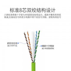 ☆胜为 SHENGWEI LC-6100D 六类网线 纯铜千兆8芯双绞网络跳线 10米 橙色 高速彩色网络连接线 千兆网线